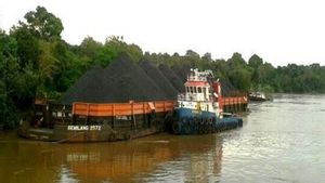 Walhi Jambi Catat Telah Terjadi Darurat DAS Batang Hari