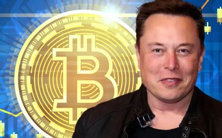 Hasil Survey Warga Australia Mengira Elon Musk Adalah Pencipta Bitcoin