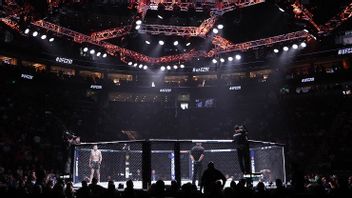 أطلقت UFC و IBM تقنية In-Fight Insights القائمة على الذكاء الاصطناعي لتقديم إحصاءات في الوقت الفعلي