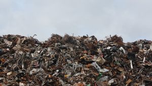 WHO Soroti Risiko Kesehatan yang Dipengaruhi Krisis Limbah Global