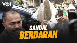 VIDEO: Bersaksi, Kuasa Hukum Keluarga Brigadir J Bawa Barang Bukti ke Sidang Ferdy Sambo