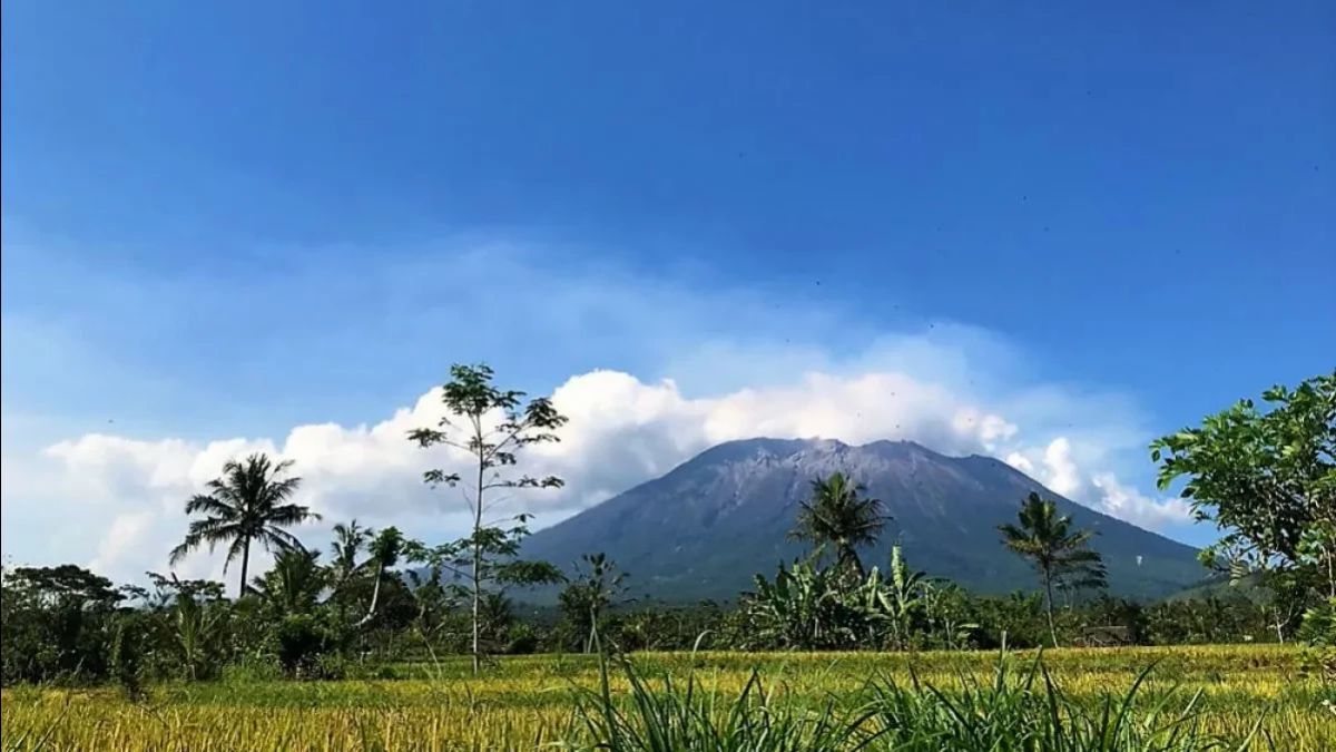 暑い天候によるバリ島のアグン山の森での75ヘクタールの火災