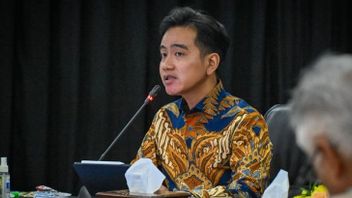 Hari Ini, Wapres Gibran Rakabuming Tinjau Wilayah Terdampak Bencana di Sukabumi