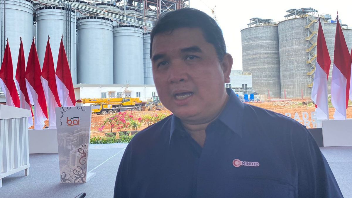 Responding To Prabowo's Energy Swasembada, MIND ID: We Are All Out