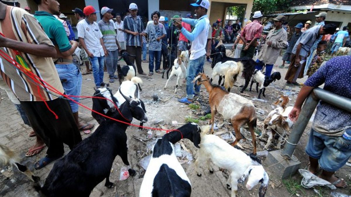 Designated As PMK Outbreak Area, Extended Closure Of 5 Animal Markets In Boyolali