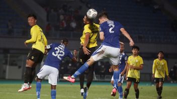 Manque De Concentration Dans Les Dernières Minutes, Barito Putra Battu Par Persib 0-1