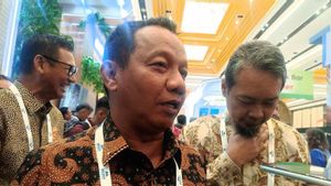 Kementerian ESDM Pastikan Tarif Listrik Triwulan I 2026 Tidak Naik