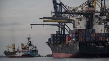 Pertumbuhan Impor Bakal Lebih Tinggi dari Ekspor pada Tahun Ini, Ekonom Bank Mandiri: Neraca Dagang Masih Tetap Surplus 