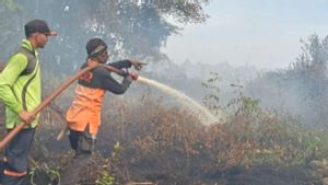 Karhutla Aceh Selatan Hampir 10 Hari, Kabut Asap Berpotensi Meluas ke Aceh Tenggara