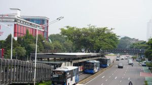 Contoh Wilayah Fungsional di Indonesia dalam Konteks Ekologi dan Pembangunan Berkelanjutan