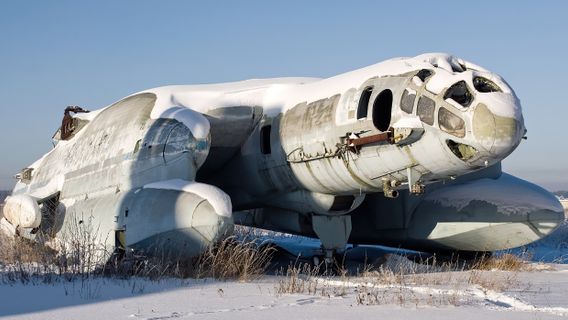 Bartini Beriev VVA-14, A Soviet Submarine Hunting Dragon That Never Served