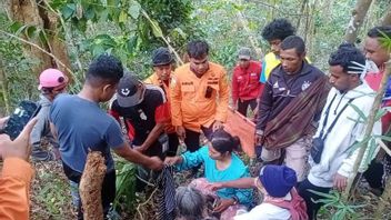 3 Hari Hilang di Hutan, Perempuan di Buton Ditemukan Selamat