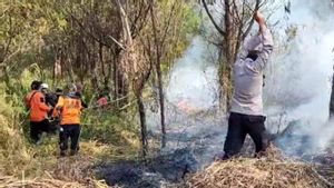 Petugas Gabungan Padamkan Kebakaran Hutan TNBTS di Lumajang