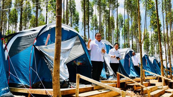 留在IKN地区，佐科维及其随行人员使用波索地震用过的帐篷