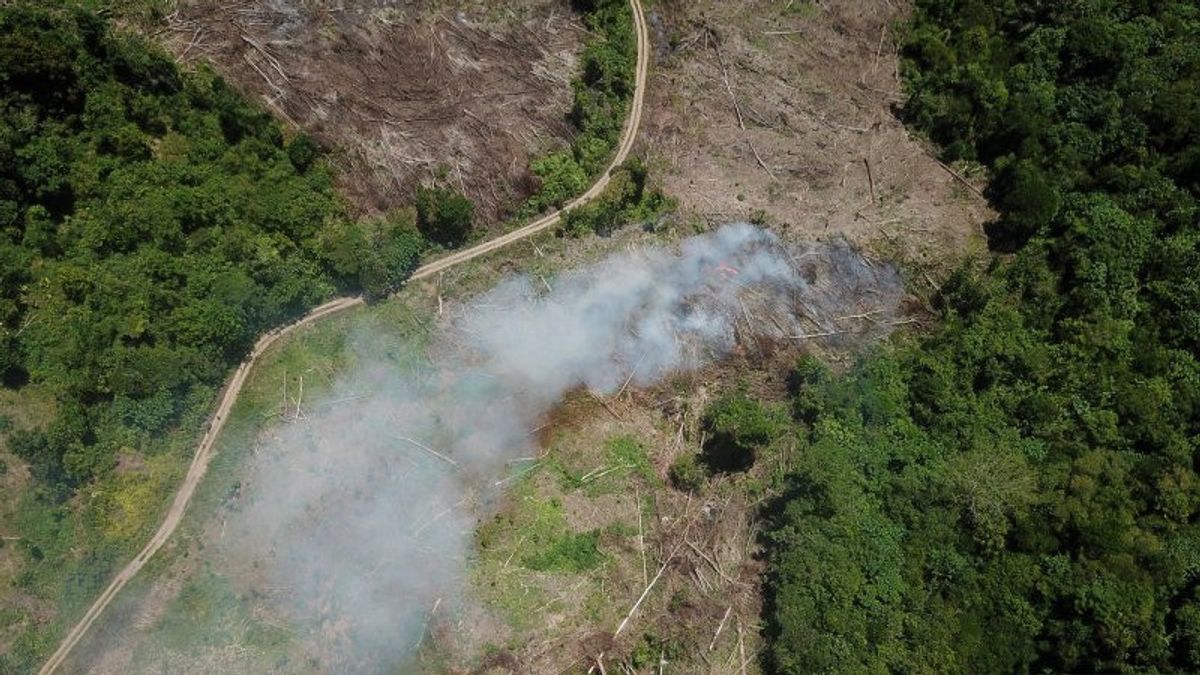 Pencarian Helikopter Hilang Milik Perusahaan Tambang di Halmahera Terkendala Cuaca