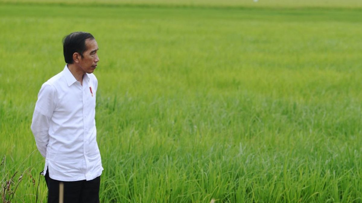 Le président Jokowi : Le gouvernement cherche à maintenir une équilibre des prix des produits alimentaires