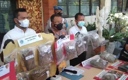 Edarkan Ganja, WN Jepang Ditangkap di Bali