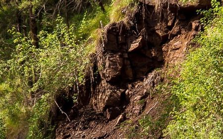 Telusur Kulon Progo, Bantul hingga Sleman, BPBD Petakan Kawasan Berpotensi Tinggi Longsor