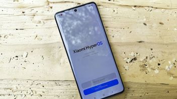 小米停止HyperOS更新，直到3月初