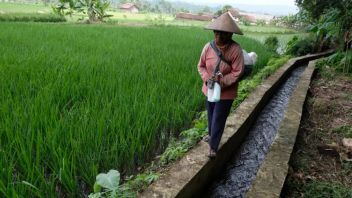 Mukomuko摄政政府收到了19亿印尼盾的DAK基金,用于建造2个路点和2个灌溉