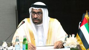 ベラニ、UAEは外部からの保護を必要とせず、主権を維持する準備ができていると述べる