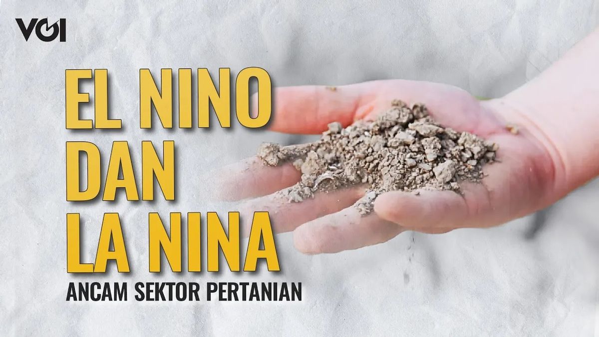 VIDEO: Habis El Nino Terbitlah La Nina, Sektor Pertanian Terancam?