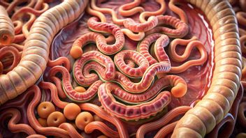 Often Ignored, This Food Can Increase The Risk Ofworming