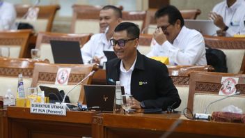 DPR Apresiasi PLN Realisasikan PMN untuk Program Listrik Desa