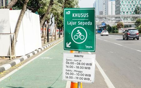 DKI Dapat Penghargaan Transportasi, Pengamat: Jalur Sepeda Masih Belum Nyaman