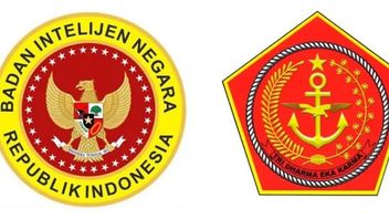 Cegah Tumpang Tindih Kewenangan, BAIS dan BIN Sebaiknya Disatukan