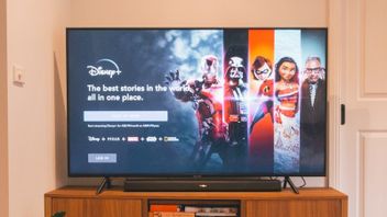 Disney Plus Mulai Tindak Tegas Berbagi Kata Sandi Musim Panas Ini