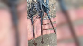 How Residents Are Not Afraid, Three Rust Iron Arrows And Bullet Projectiles Found After The Thug's Attack