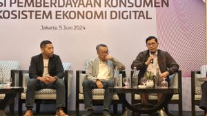 Expressing Consumer Challenges When Shopping Online, Lazada: Needs Education And Literacy