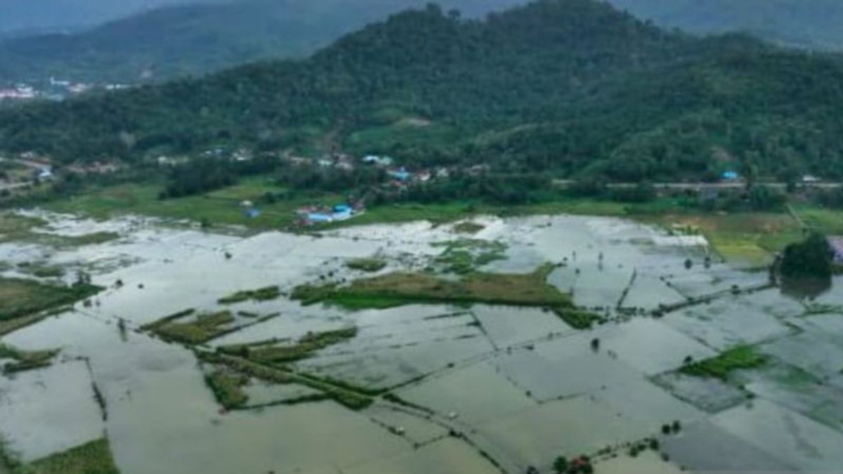 La rivière Awareka Meluap, 400 hectares dans le Konawe Sultra a été inondée