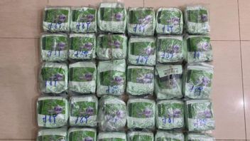 工资为每公斤500万印尼盾,2名冰毒快递员30公斤在杜迈扣押