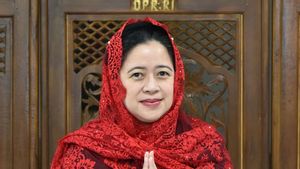Puan Maharani Minta Pemerintah Antisipasi Dampak Lonjakan COVID-19 di Luar Jawa dan Bali