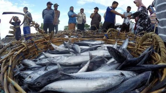 渔业投资实现增长36.29%，东爪哇成为贡献最大的地区