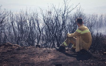 Kebakaran Hutan di Izmir Turki Merambat ke Dekat Permukiman, Warga Dievakuasi