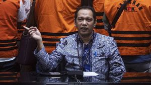 ICW demande de Dewas Resserrent Le processus de Nurul Ghufron Pour Rester le KPK Muruah