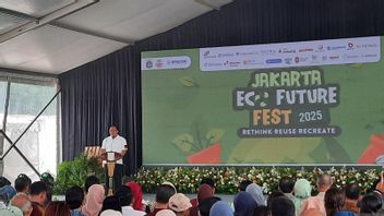 JEFF 2025 في جاكسل: أحضر القمامة الخاصة بك ، العودة إلى المنزل ، يمكنك كاسر التسوق