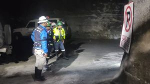 Freeport Masih Berjuang Evakuasi 7 Pekerjanya Terjebak di Area Bawah Tambang Tembagapura