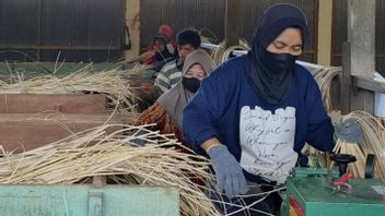 Ekonom UNS: Implementasi Pertanian Organik Bisa Akselerasi Pemajuan Industri Agro