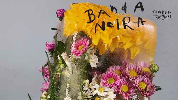 班达内拉的新专辑《Banda Neira》成长和成为,以回报听众的爱