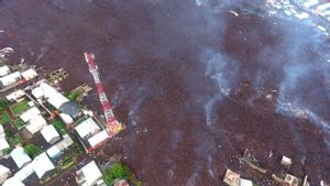 20.000 Orang Kehilangan Rumah Akibat Letusan Gunung di Kongo