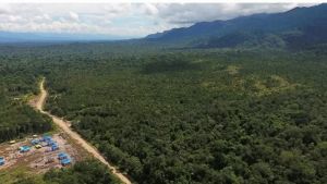AMAN Minta Pemerintah Telusur Hambatan Birokrasi Pengakuan Kawasan Hutan Adat