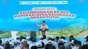There Are Reports Of Naughty Rice Milling, Prabowo: Seize And Leave It To The Cooperative To Be Run