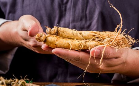 Inilah Beragam Manfaat Ginseng Merah Korea untuk Seksualitas Pria