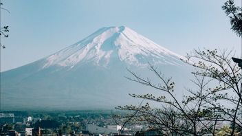 福吉山终于雪了