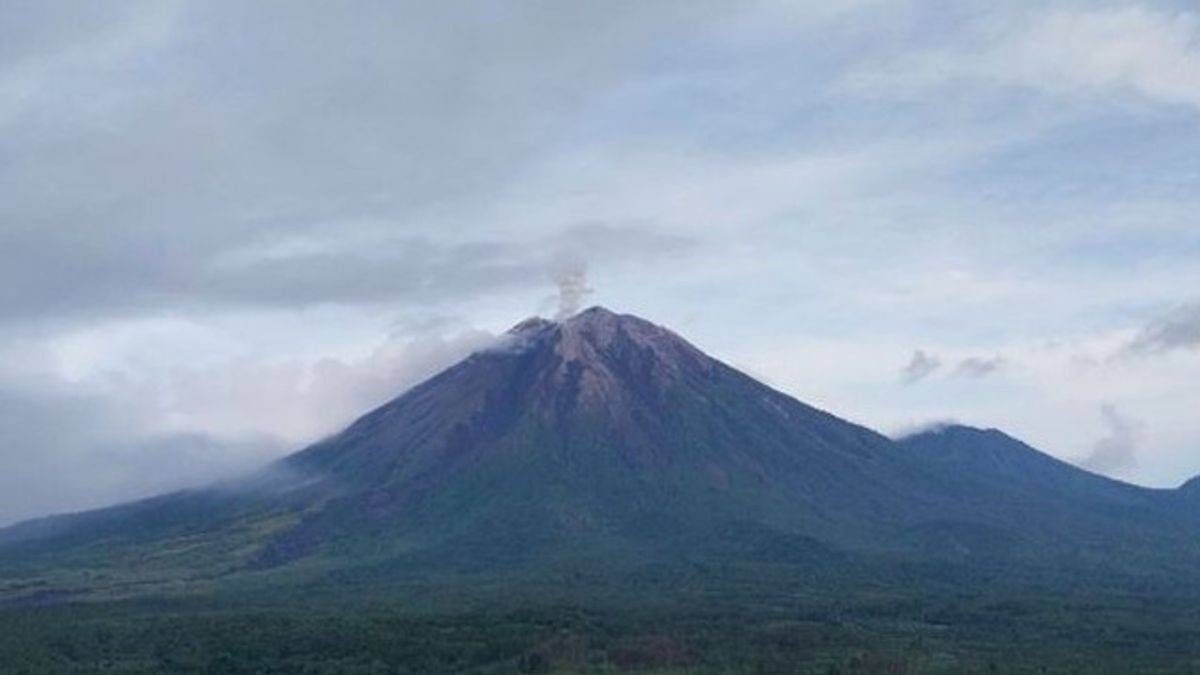 Jumat Pagi Gunung Semeru Erupsi 5 Kali, Warga Diimbau Tingkatkan Kewaspadaan