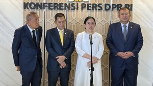 Data WNI Jangan Jadi Komoditas: Puan Minta Pemerintah Jelas soal Transfer Data ke AS